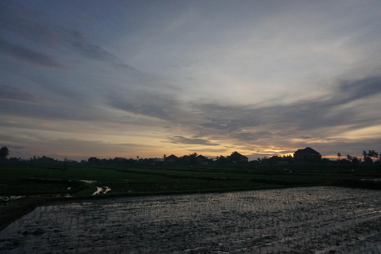 Pondok Uma Ubud Zewnętrze zdjęcie